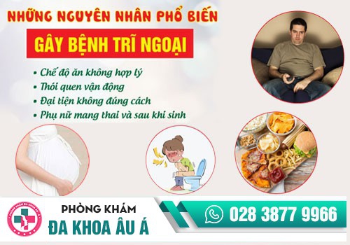 NGUYÊN NHÂN NÀO GÂY RA BỆNH TRĨ NGOẠI?