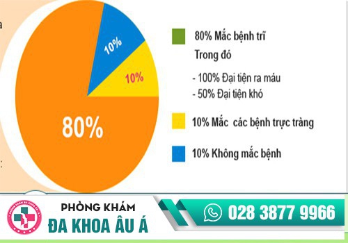 Biểu đồ thể hiện tình trạng đi ngoài ra máu do nhiều nguyên nhân gây ra
