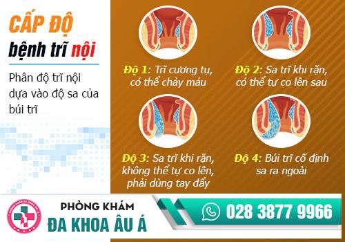 NGUYÊN NHÂN VÀ TÁC HẠI CỦA BỆNH TRĨ NỘI