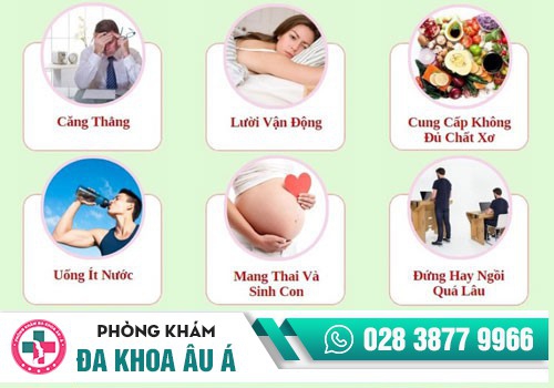 Những nguyên nhân hình thành bệnh trĩ