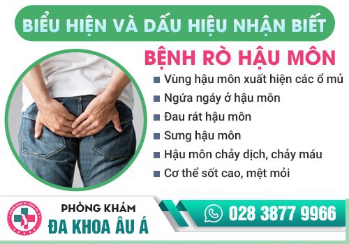 Bệnh mạch lươn là gì?
