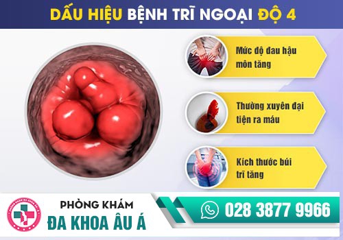 TRIỆU CHỨNG CỦA LÒI CON TRÊ LÀ GÌ?