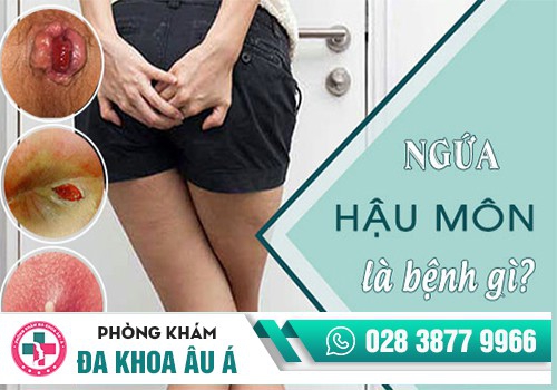 Nguyên nhân gây ngứa hậu môn