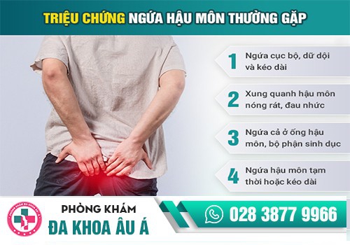 Ngứa hậu môn là một triệu chứng bệnh hậu môn - trực tràng