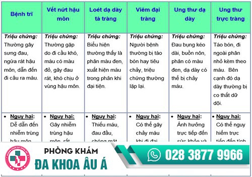 LÝ DO KHIẾN BẠN KHÔNG THỂ BỎ QUA HIỆN TƯỢNG ĐI CẦU RA MÁU